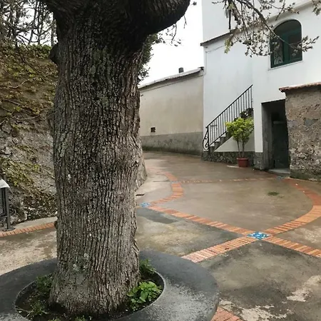 Maison Rosa דירה